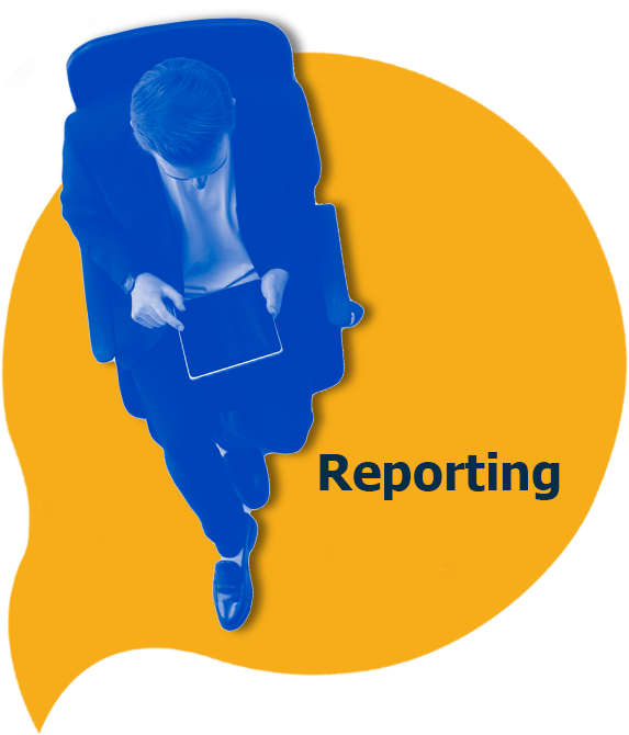 Reporting